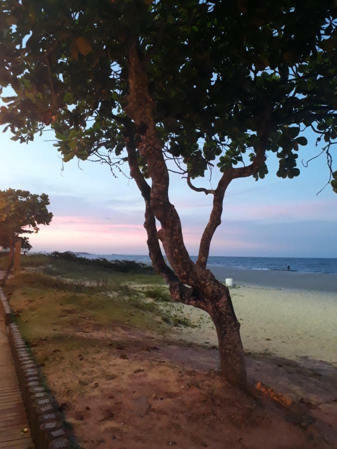 Apto de Praia Fiji 1108 Piçarras Exterior foto